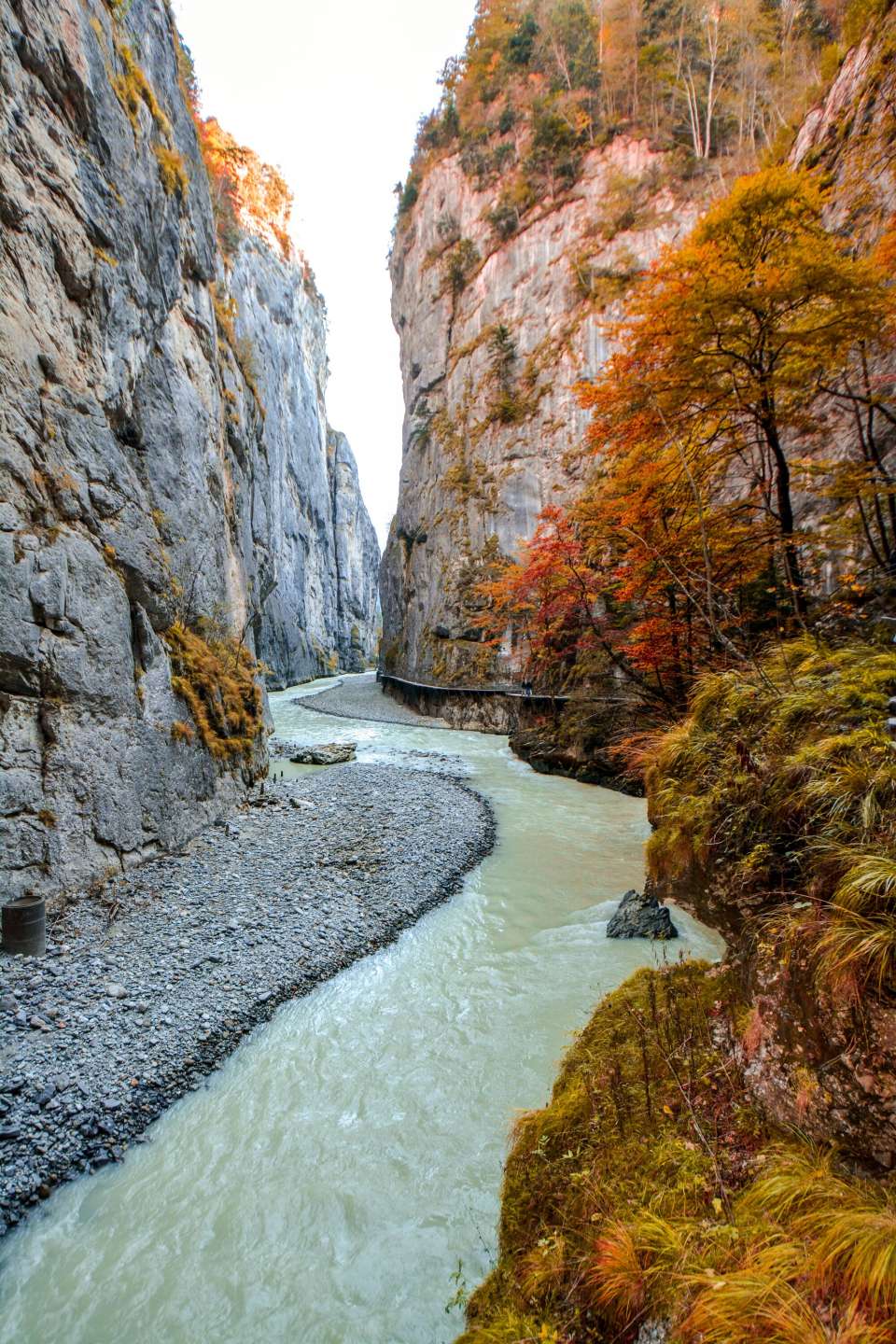 Der Steg in der Aareschlucht führt leicht oberhalb des Wassers den Felsen entlang. Es ist Herbst, die Blätter der Bäume rot gefärbt und eine leicht regnerische Stimmung.