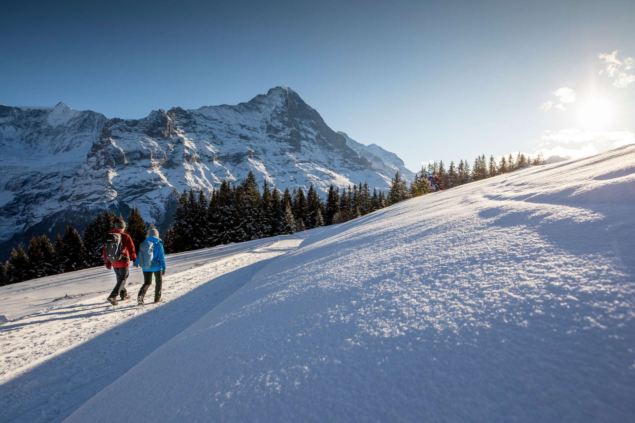 Winterwanderung auf verschneiten Winterwanderwegen rund um Grindelwald. Die Wanderer geniessen den sonnigen Tag und imposanten Ausblick auf den Eiger.