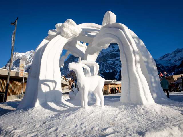 Veranstaltungskalender