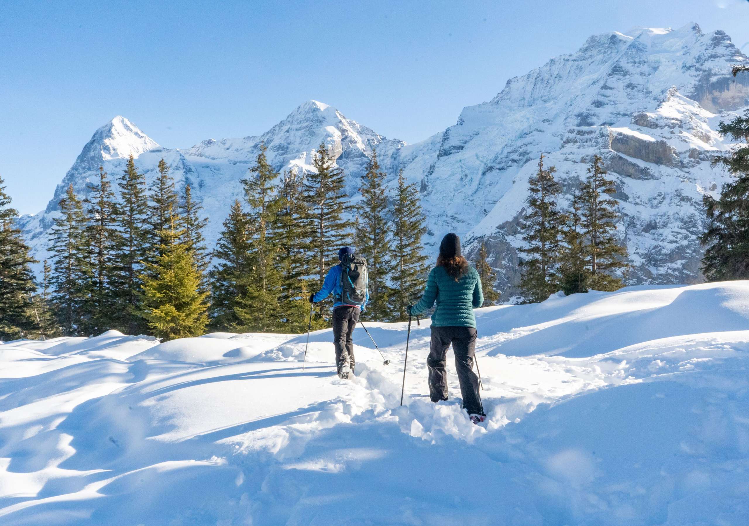 Unterwegs in der verschneiten Landschaft bei sonnigem Wetter mit den Schneeschuhen. Der Schneeschuhtrail in Mürren bietet eine einmalige Sicht auf Eiger, Mönch und Jungfrau.
