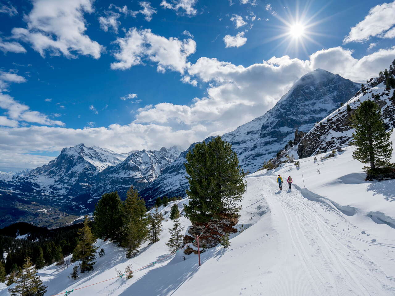 Winterwanderung auf verschneiten Winterwanderwegen rund um Grindelwald. Die Wanderer geniessen den sonnigen Tag und imposanten Ausblick auf den Eiger.