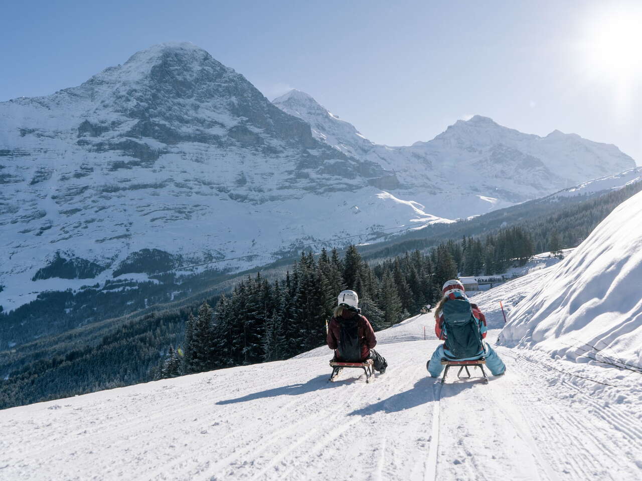 Schlitten auf dem Männlichen. Die Strecke bietet eine einmalige Aussicht auf den Eiger.