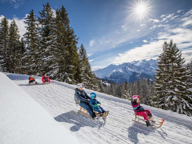 Allmendhubel - Mürren Bob Run